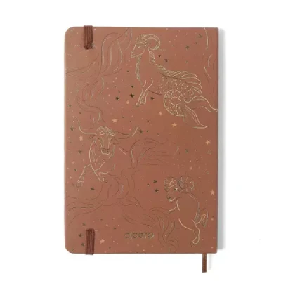 Agenda Planner 2026 Origens Semanal Anotações 14x21 Terra- Cicero