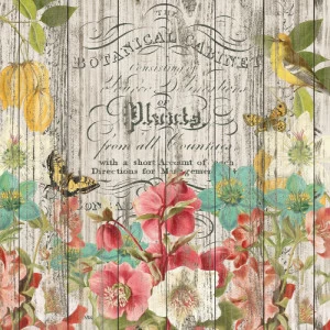 Folha para Scrapbook - Simple Stories - Coleção Simple Vintage Cottage Fields - Natural Beauty