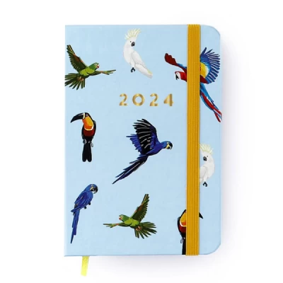 Agenda Planner 2024 Pássaros, Espécies Azul 9x13 - Cicero
