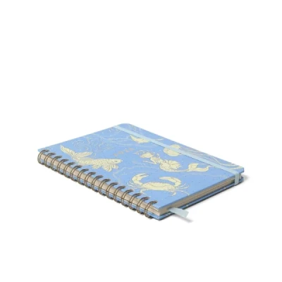 Agenda Planner 2026 Origens Semanal Anotações 14x21 Aqua Azul CICERO